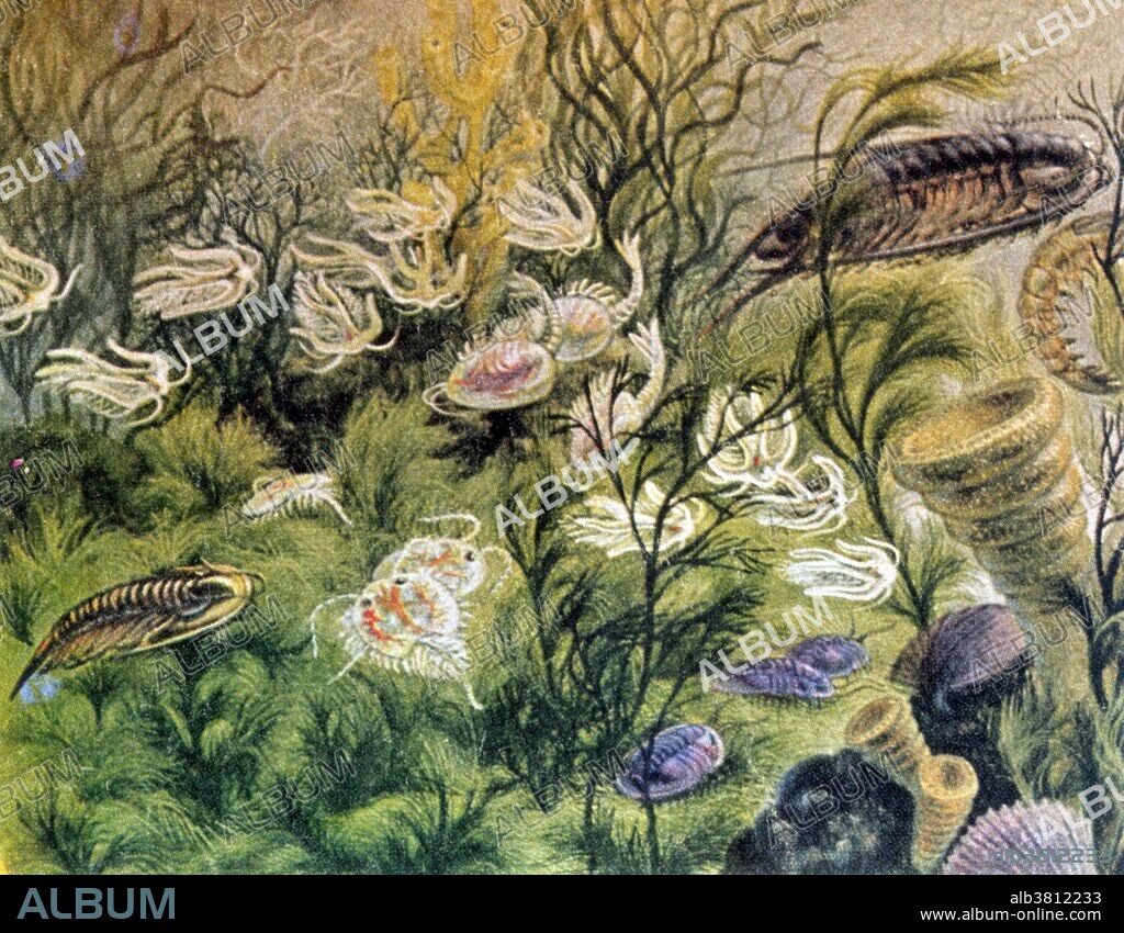 The Paleozoic Era is the earliest of three geologic eras of the Phanerozoic Eon, spanning from 541 to 252.17 million years ago. The Paleozoic was a time of dramatic geological, climatic, and evolutionary change. The Cambrian Period witnessed the most rapid and widespread diversification of life in Earth's history in which most modern phyla first appeared. Fish, arthropods, amphibians, anapsida, synapsida, euryapsida and diapsida all evolved during the Paleozoic. Great forests of primitive plants covered the continents, many of which formed the coal beds of Europe and eastern North America. The Paleozoic Era ended with the largest mass extinction in Earth's history, the Permian-Triassic extinction event. The effects of this catastrophe were so devastating that it took life on land 30 million years into the Mesozoic Era to recover. Recovery of life in the sea may have been much faster.