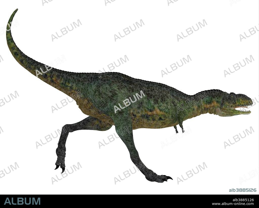 Aucasaurus was a predatory dinosaur from the Cretaceous Period in Argentina and a close relative of Carnotaurus.