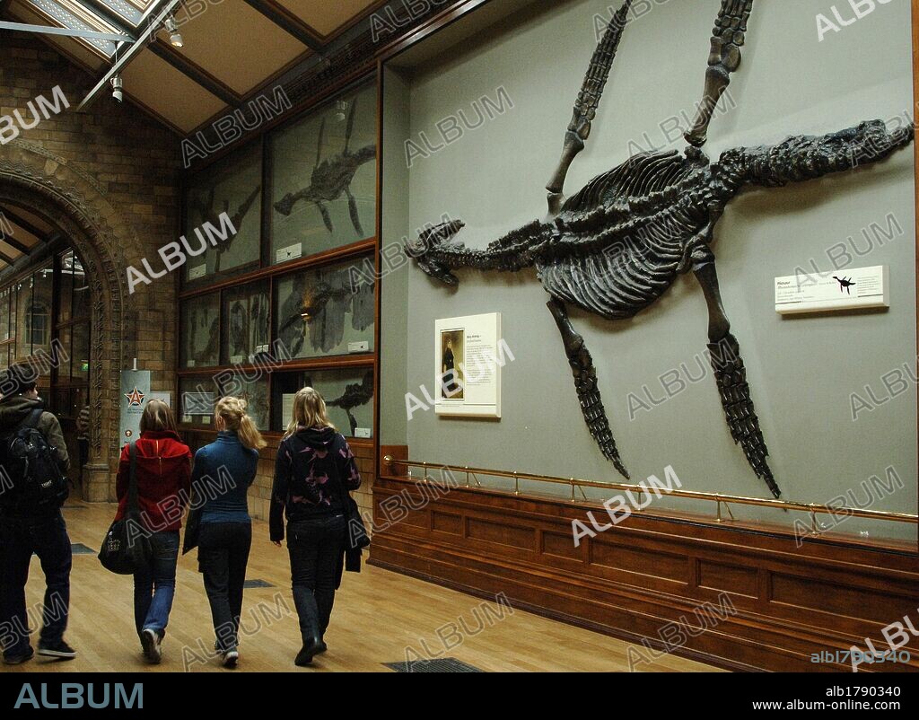 MUSEO DE HISTORIA NATURAL. Vista del interior. Londres. Inglaterra. Reino Unido.