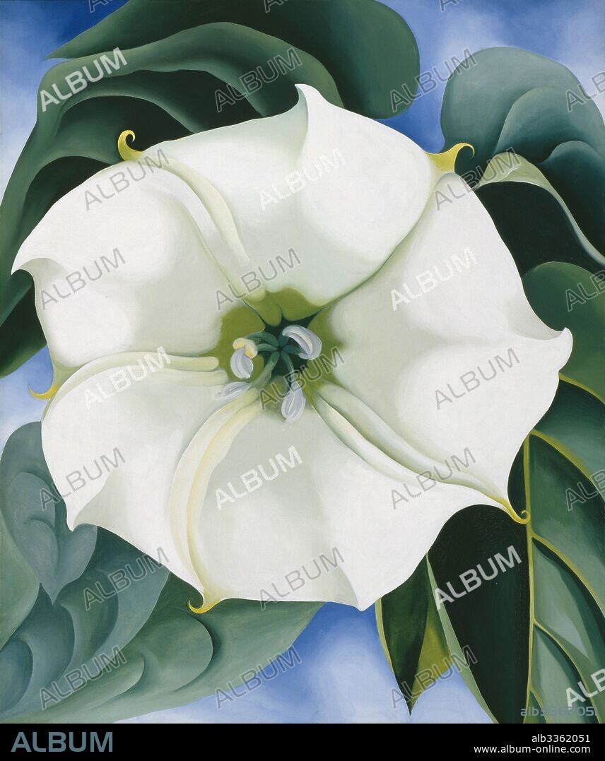 GEORGIA O'KEEFFE. Jimson Weed (White Flower No. 1).