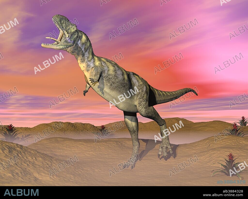 Aucasaurus dinosaur roaring in the desert by sunset.