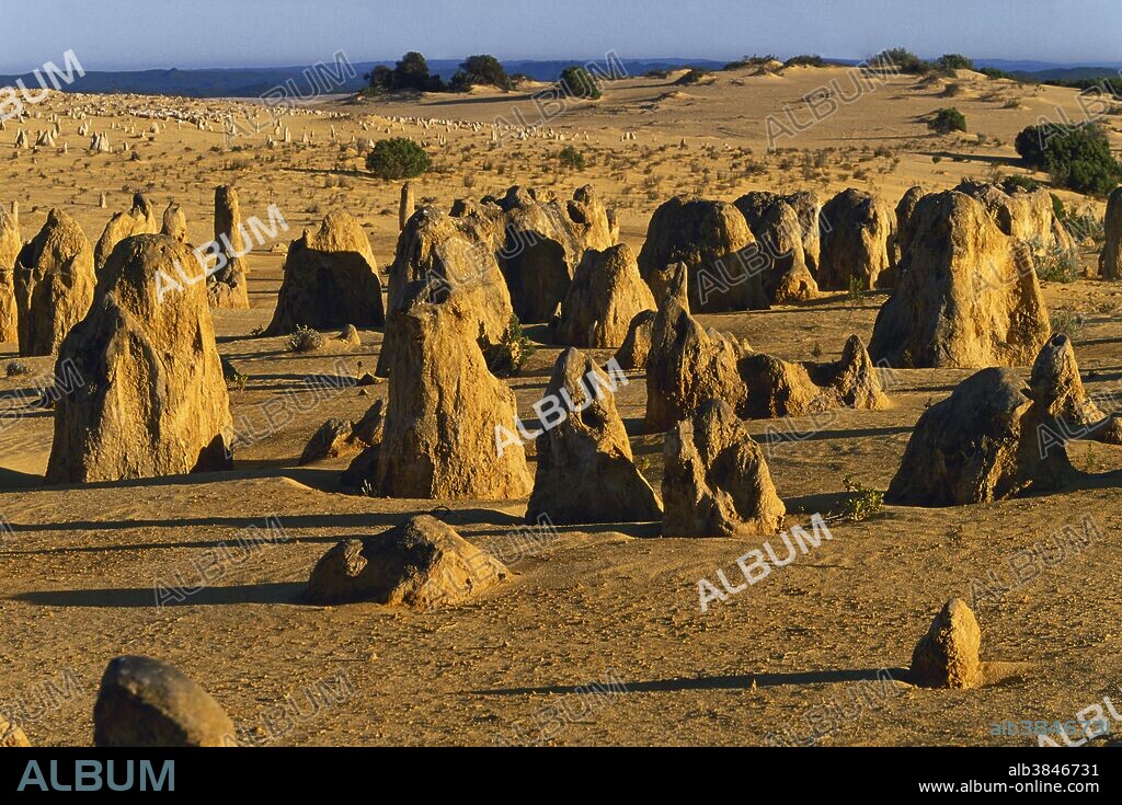 Eroded limestone pillars emerge from the Pinnacles Desert, Nambung National Park, near Cervantes, Western Australia.