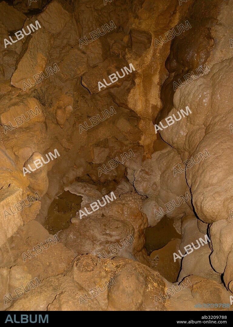 CUEVA DE ALTXERRI: SALA DEL GRAN BISONTE Y DETALLES DE VERTEBRA DEL BISONTE EN LA PIEDRA.  . AYA, GIPUZCOA, PAIS VASCO, ESPAÑA.