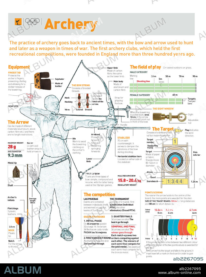 ARCHERY. Infographics about archery, its regulations, shooting range, team, olympic events and sport tournaments.