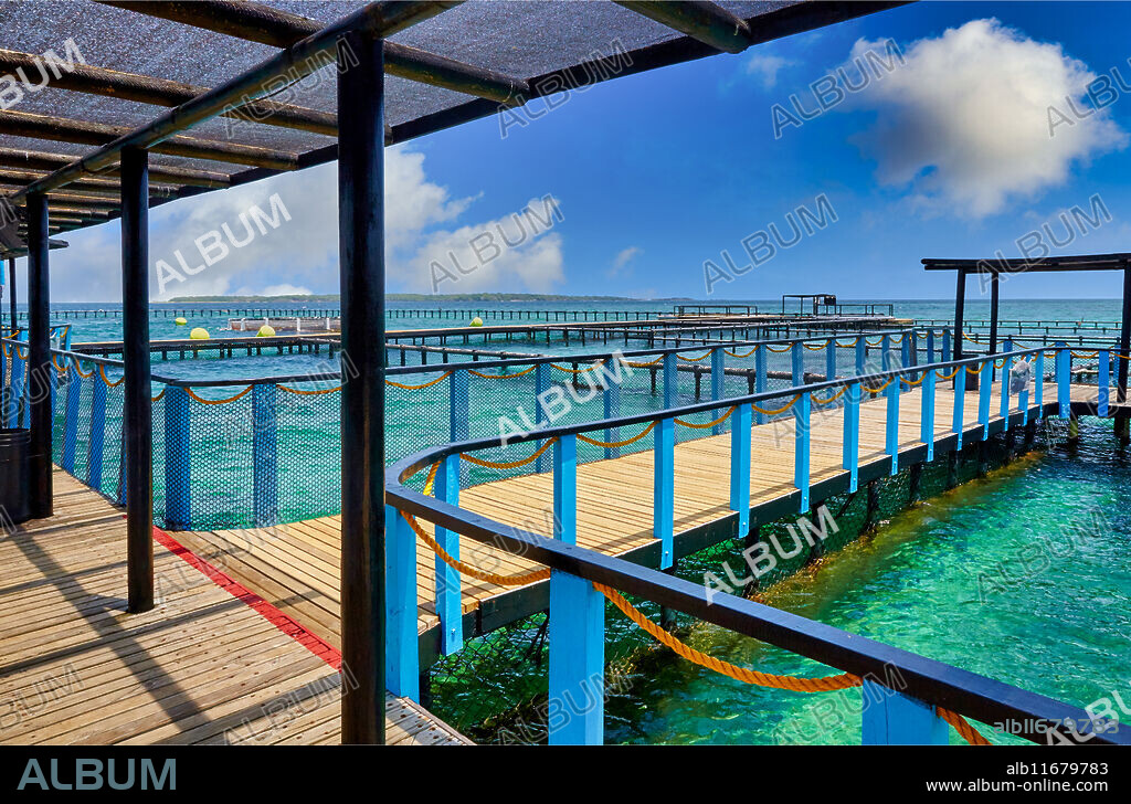 Oceanarium, San Martin de Pajarales island, Rosario Islands, Cartagena de Indias, Bolivar, Colombia, South America.