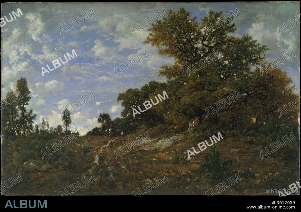 THEODORE ROUSSEAU (PEINTRE). The Edge of the Woods at Monts-Girard, Fontainebleau Forest. Artist: Théodore Rousseau (French, Paris 1812-1867 Barbizon). Dimensions: 31 1/2 x 48 in. (80 x 121.9 cm). Date: 1852-54.
As related by Rousseau's friend and biographer Alfred Sensier, this painting represents part of the woods at Fontainebleau where the trees--some hundreds of years old--were vulnerable to harvest, a practice the artist bitterly opposed. Although the composition reflects seventeenth-century Dutch prototypes, its contemporary resonance is elucidated by the poignant contrast between the saplings in the recently cleared opening at the left and the aged specimens at the right. After working on the panel for two years Rousseau dated it, a rare gesture signifying that he considered it particularly successful. The painting was included in Rousseau's triumphant display at Salon of 1855.