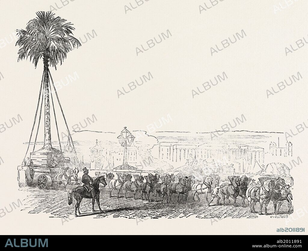 REMOVAL OF A GIGANTIC PALM-TREE FROM MESSRS. LODDIGES', AT HACKNEY, TO THE CRYSTAL PALACE, 1854, LONDON, UK.