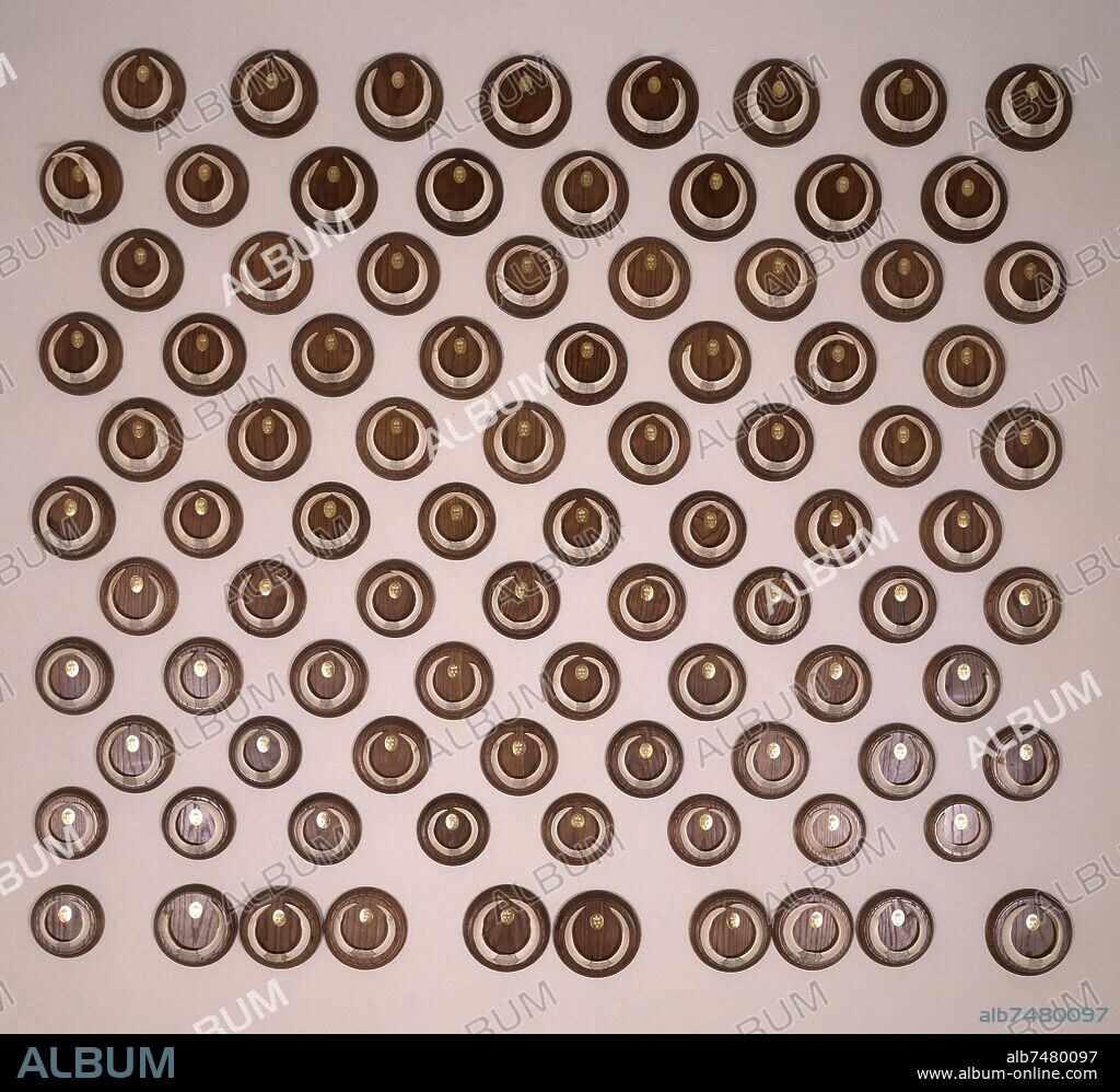 PARED CON TROFEOS DE CAZA DE JABALI-COLMILLOS.