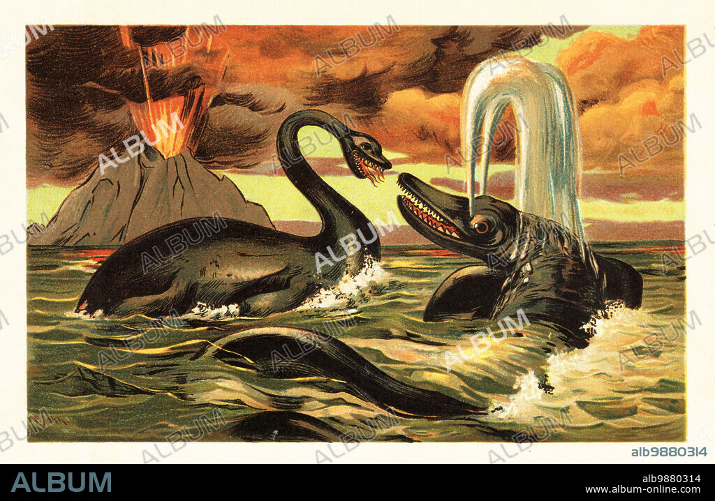 Plesiosaurus dolichodeirus and Ichthyosaurus communis battling in front of an erupting volcano. Plesiosaurus, extinct genus of large marine sauropterygian reptile of the Jurassic. Ichthyosaurus, extinct genus of ichthyosaurs from the late Triassic and early Jurassic Plesiosaurus und Ichthyosaurus communis Conybeare. Colour printed illustration by F. John from Wilhelm Bolsches Tiere der Urwelt (Animals of the Prehistoric World), Reichardt Cocoa company, Hamburg, 1908.