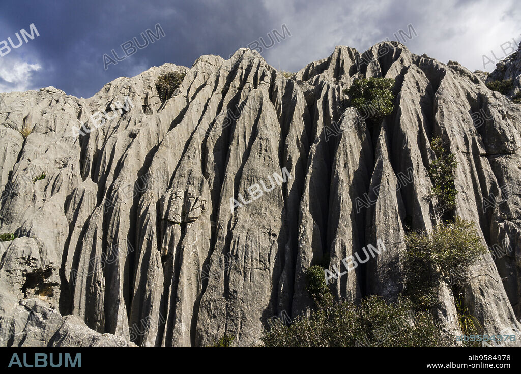 Relieve kárstico, Mortix publishes estate, natural setting of the Sierra de Tramuntana, Mallorca, balearic islands, spain, europe.