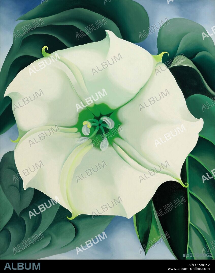 GEORGIA O'KEEFFE. Jimson Weed (White Flower No. 1).