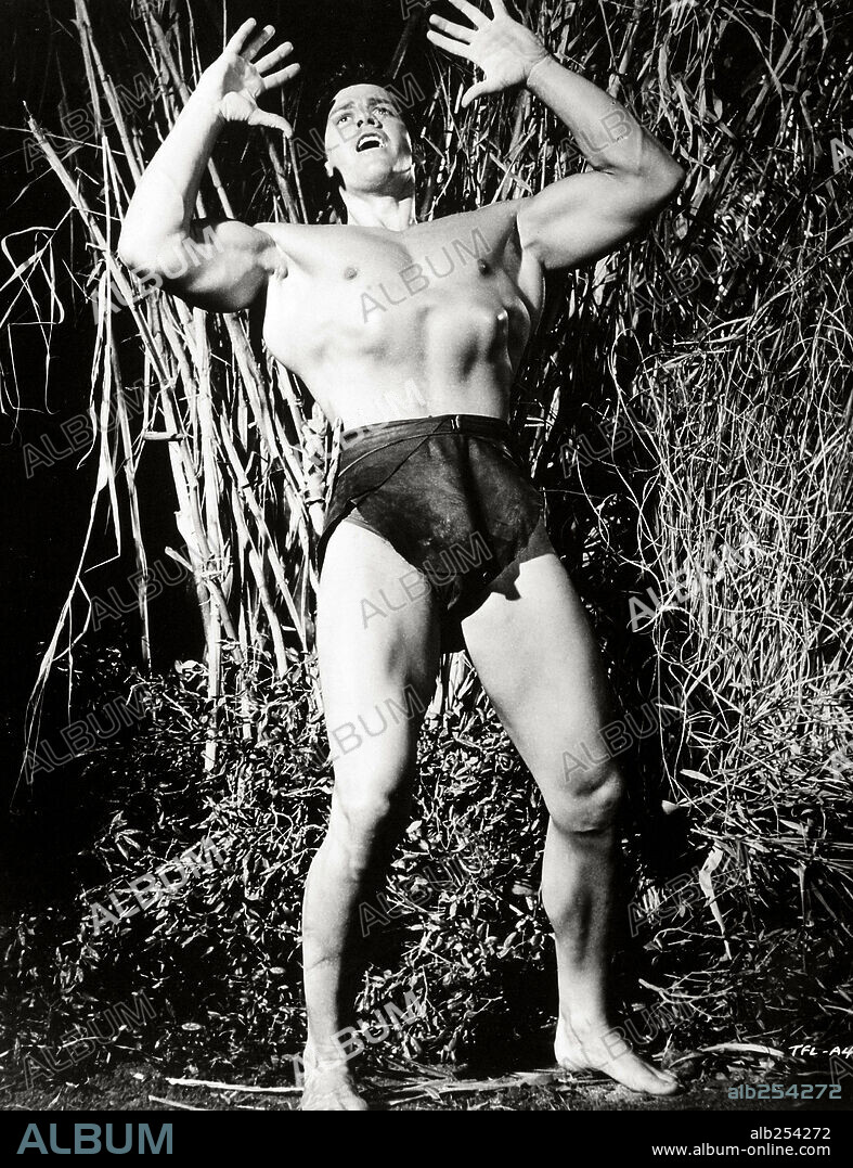 GORDON SCOTT in TARZAN'S FIGHT FOR LIFE, 1958, directed by H. BRUCE HUMBERSTONE. Copyright M.G.M.