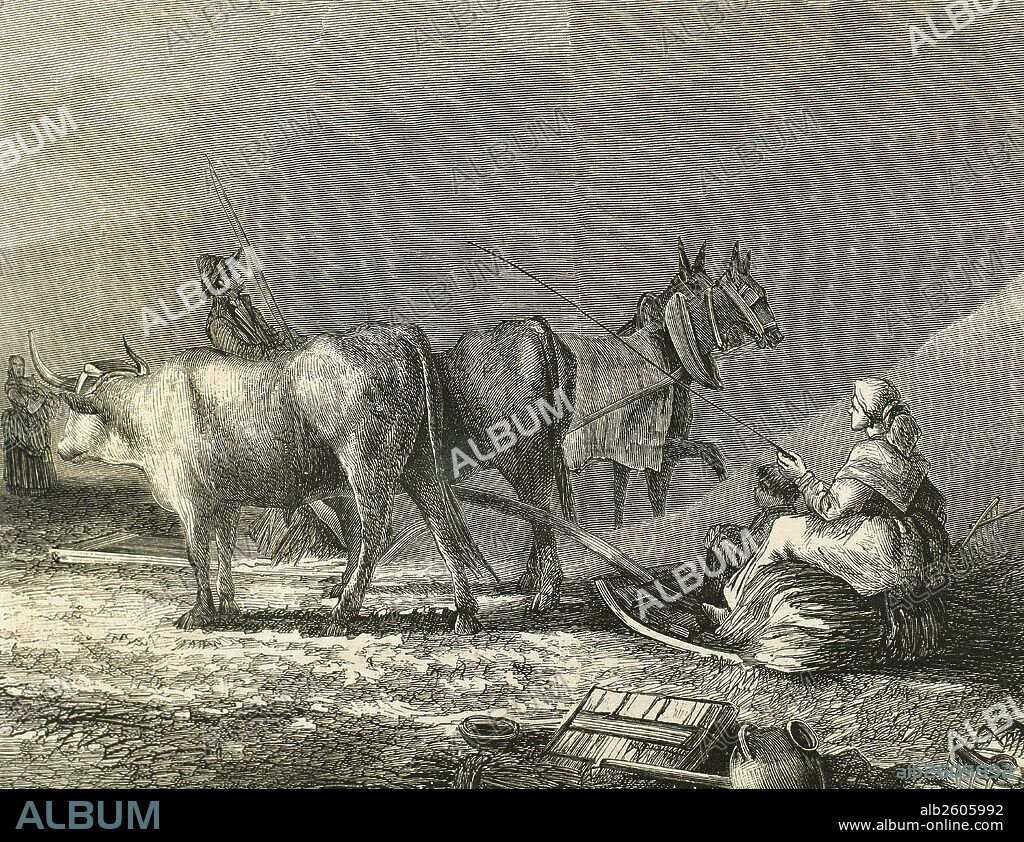 Agriculture. Threshing with threshing board. Engraving by R. Milliet. 19th century.