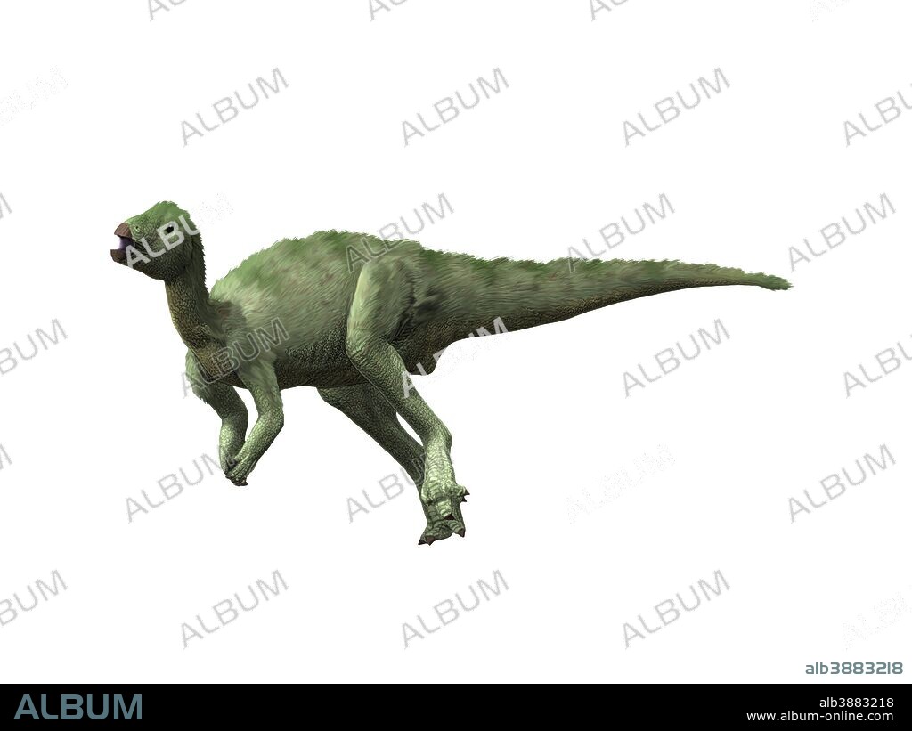 Hypsilophodon foxii, Early Cretaceous of England.