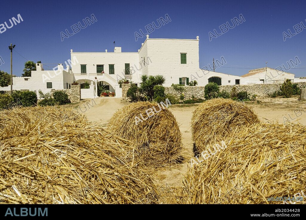 fabricacion artesanal de queso Binigarba - denominacion de origen Mahon artesano- finca Binigarba, Ciutadella, Menorca, Islas Baleares, españa, europa.