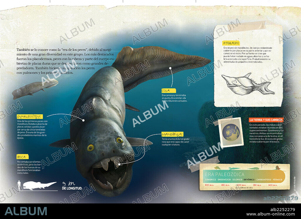 Período Devónico. Infografía sobre el período Devónico, de la era Paleozoica, durante el cual apareció una gran diversidad de peces.