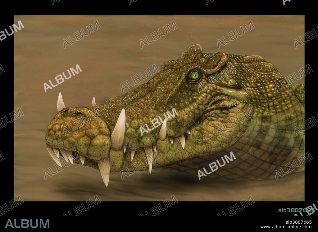 Kaprosuchus saharicus head detail.
