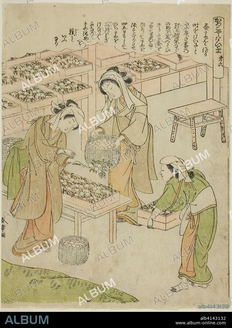 Plate 6 (Examining the Newly Spun Cocoons), from the series "Kaiko Yashinai-gusa". Katsukawa Shunsho ?? ??; Japanese, 1726-1792. Date: 1767-1777. Dimensions: 25.2 x 19 cm (9 15/16 x 7 1/2 in.). Color woodblock print; chuban. Origin: Japan.