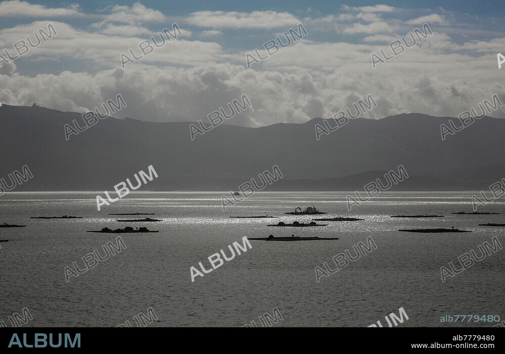 Spanien Muros Galicien 0519 Atlantikbucht Ria de Muros e Noia Muschelflöße.