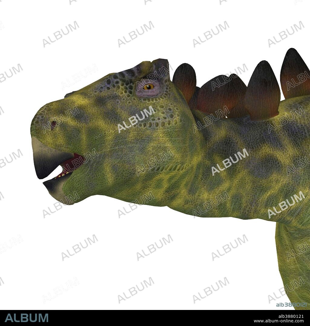 Close-up of a Huayangosaurus dinosaur head. Huayangosaurus was an armored dinosaur that lived in the Jurassic Period of China.