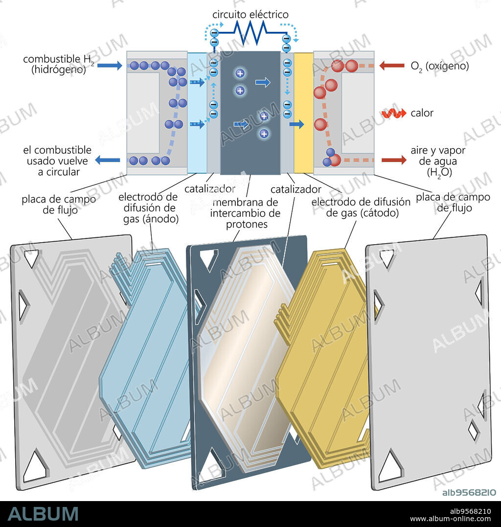 Proton exchange membrane (PEM) fuel cell.