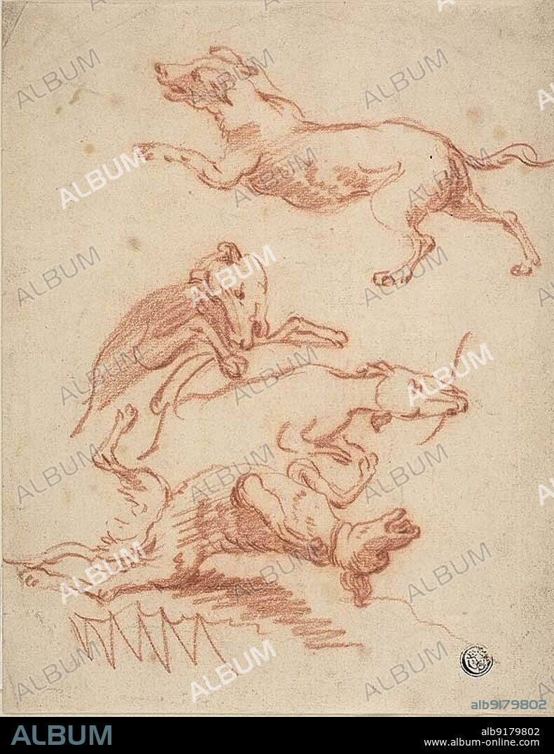 Sketches of Romping Dogs, n.d. Probably by Abraham Hondius.