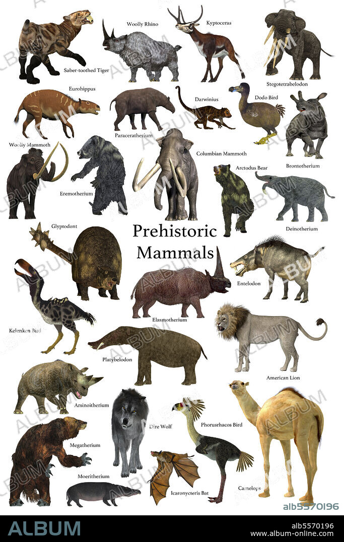 A collection of some of the better known mammals that lived during the Cenozoic Era.