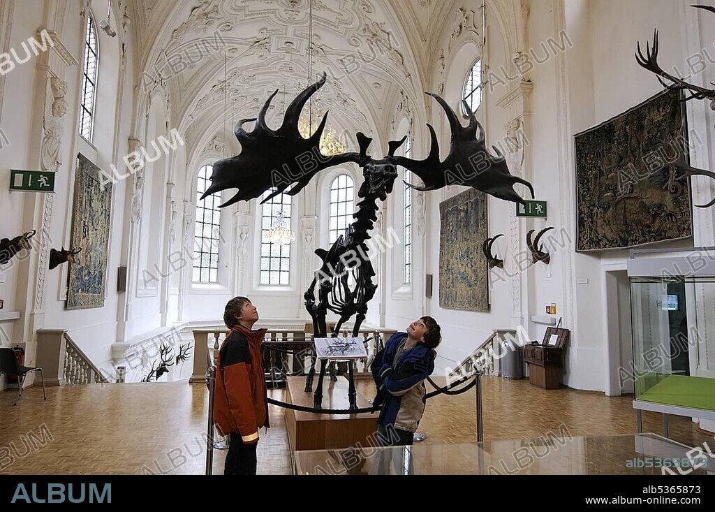 Children looking up in awe at a Megaloceros skeleton, Deutsches Jagd- und Fischereimuseum (German Hunting and Fishing Museum), Munich, Bavaria, Germany