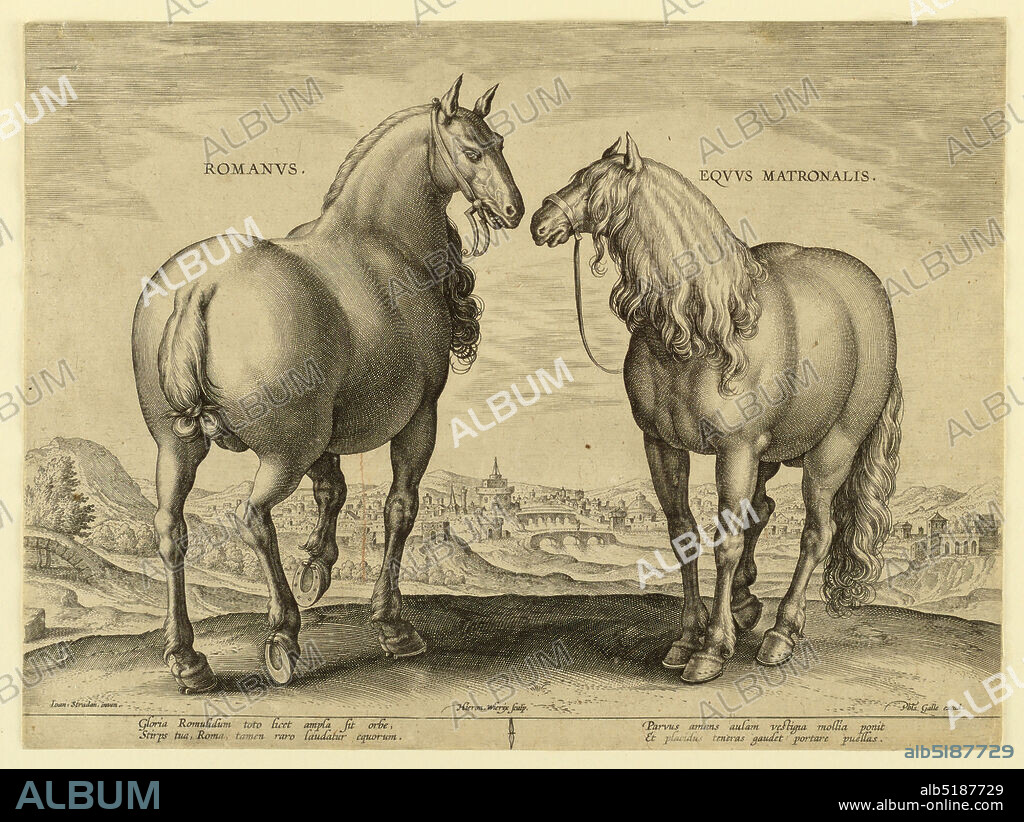 A Roman Horse, from the first set of 'Equile Joannis Austriaci', Jan van der Straet, called Stradanus, Flemish, 15231605, Hieronymus Wierix, Flemish, 1553 - 1619, Engraving on paper, A riding horse for ladies., Netherlands, ca. 1575, nature studies, Print, Print.