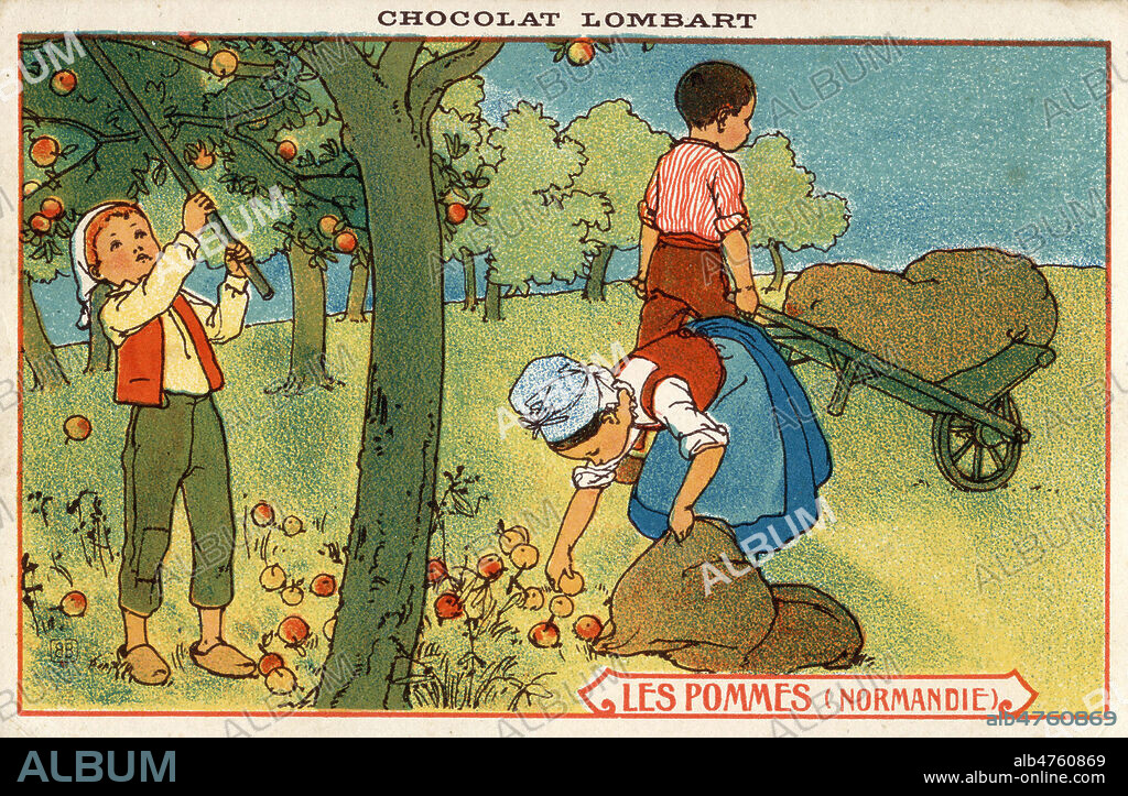 POMMES (Normandie) Serie de cartes publicitaires chromolithographiques pour le Chocolat Lombart, autour des cultures de differents pays. Carte postale publicitaire debut du 20eme siecle. Credit IM/KHARBINE TAPABOR.