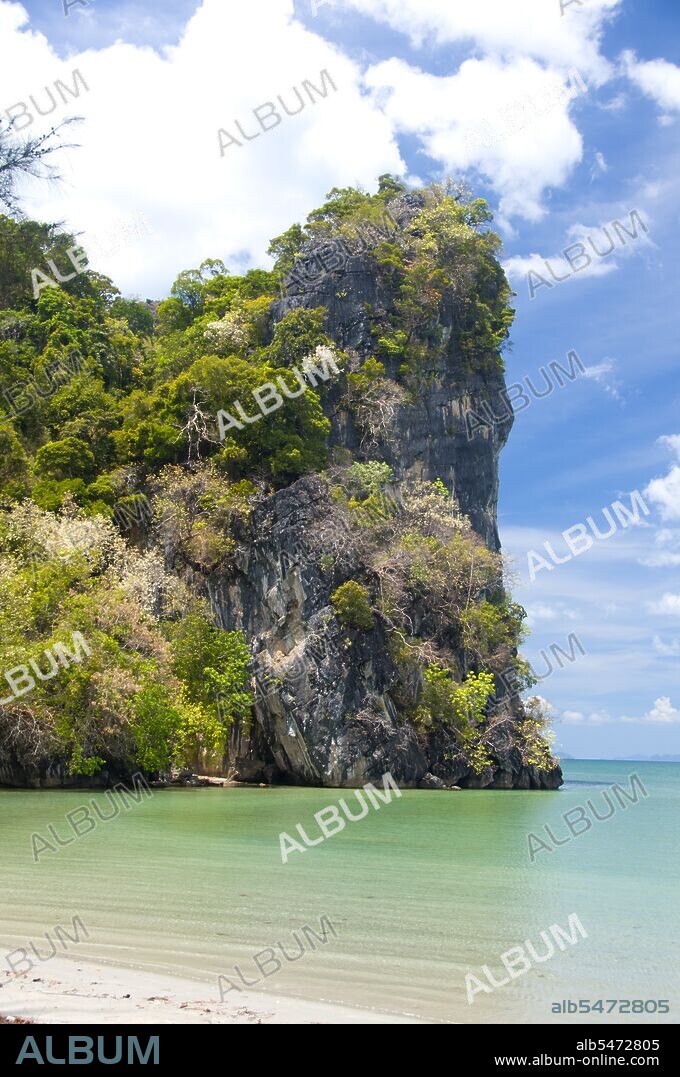 The varied coastal landscape of Hat Chao Mai National Park includes mangrove creeks, coastal karsts, and hidden beaches accessed through caves. Some of Trang’s many offshore islands, are under park protection including Ko Kradan, Ko Cheuk and Ko Muk. Rare dugongs can sometimes be spotted in the shallow waters and seagrass beds between the mainland and the islands; other mammals include sea otters and dolphins at sea, and langur, macaque, pangolin and wild boar on land. Trang province was dependent on tin mining until the first rubber seedlings were brought into Thailand around 1901 – part of a long journey from South America via the neighboring Malay States. Rubber, palm oil and fishing are the mainstays of the province's economy. Tourism is making an increasing impact as Trang’s Anadaman Coast and islands are increasingly developed and popularized.