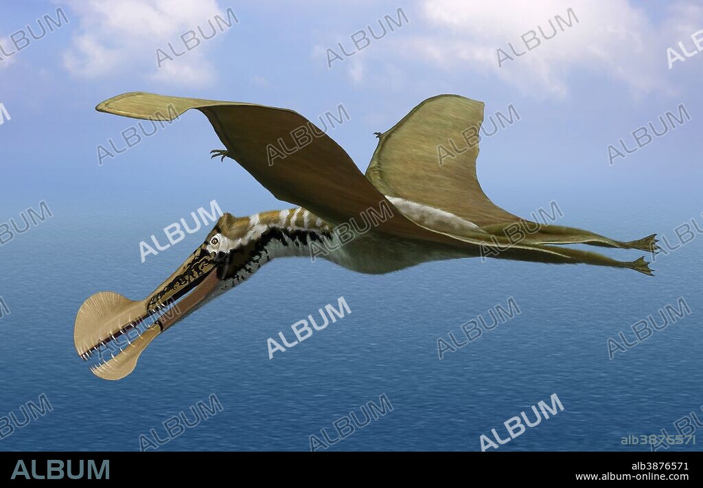 Tropeognathus mesembrinus, a large pterosaur from the Late Cretaceous Period of South America.