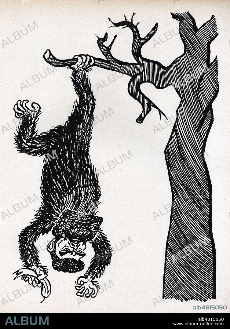 Leon ARCHIMBAUD (1880-1944), depute, le plus velu des radicaux Caricature de 1926 par SENNEP (1894-1982) pour Cartel et Cie. ADAGP. Credit : Collection KHARBINE-TAPABOR.