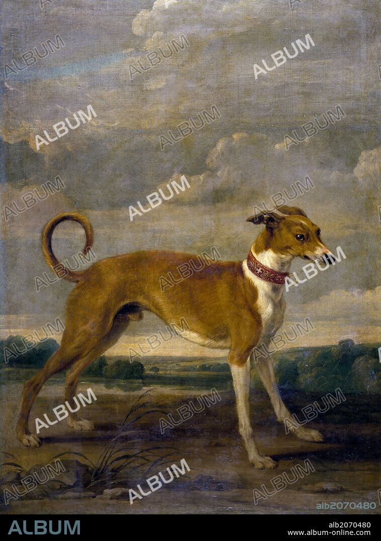 Paul de Vos / 'Un perro', Siglo XVII, Escuela Flamenca, Óleo sobre Lienzo, 116 cm x 82 cm, P01867.