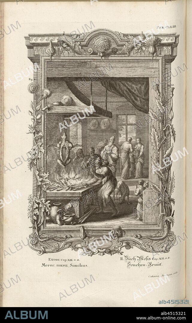 Meror, Picris, Sonchus, Parallel Title: Sonchen-Kraut, Signed: Catharina Sperlingen sculp, Copperplate, Plate CXLIII (Vol. 1), Füssli, Johann Melchior; Sperling, Catharina (sculp.), 1731, Johann Jakob Scheuchzer: Kupfer-Bibel (...). Augspurg und Ulm: gedruckt bey Christian Ulrich Wagner, 1731-1735.