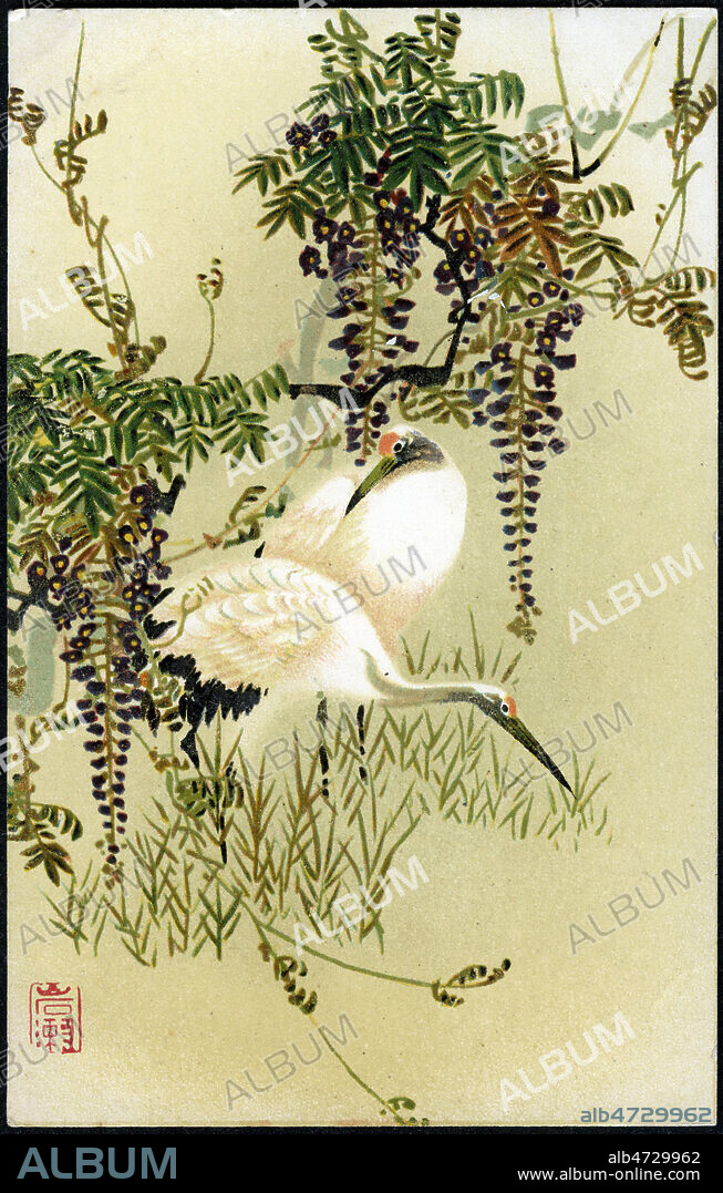 Couple de grues. Estampe japonaise du 19eme s. reprise pour une carte postale vers 1910. Credit : IM/KHARBINE-TAPABOR.