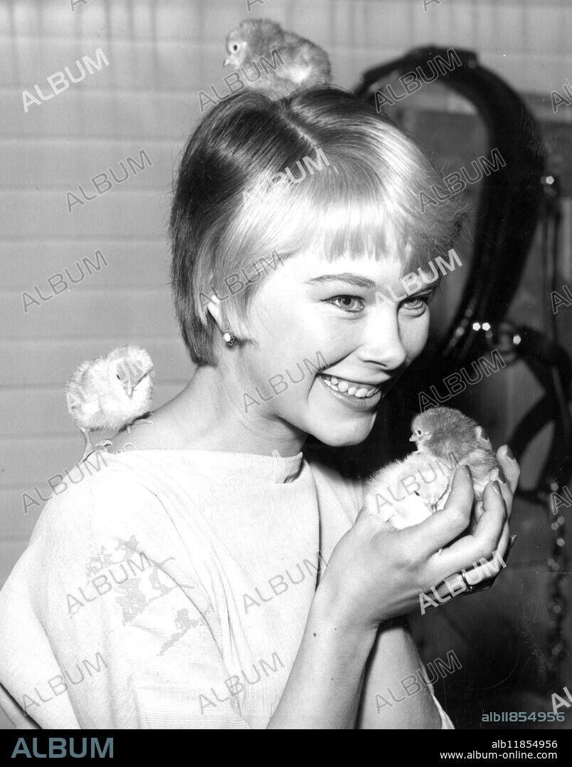 Model Zoe Newton the " Milk Girl " whose smiling face on advertisements has made her familiar to millions , finds herself on friendly terms with three-day-old chicks at the Milk Marketing Board 's stand during the preview of the Ideal Home Exhibition at Olympia . 4 march 1957.