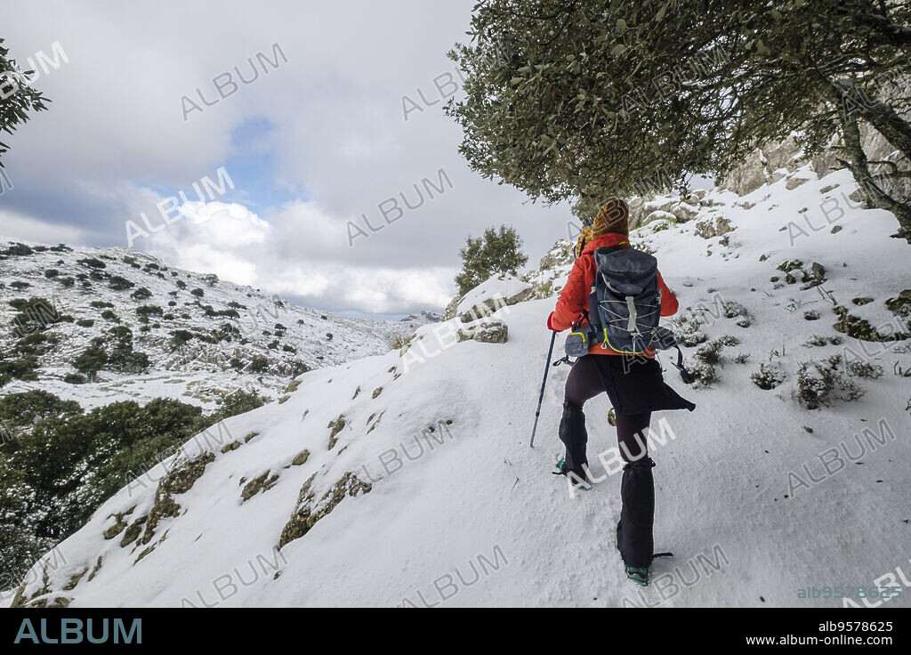 Puig des Coll des Jou, 1052 meters, Orient valley, Mallorca, Balearic Islands, Spain.