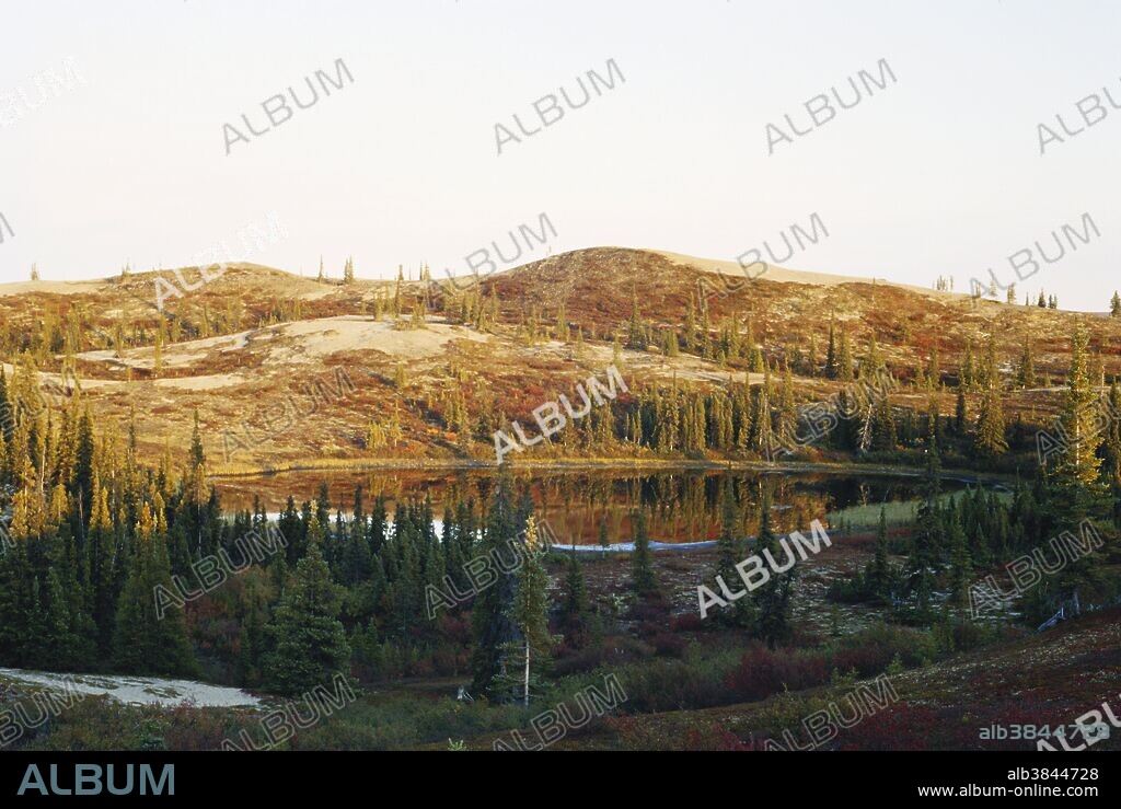 An esker and a pond in the barrens of Canada's Northwest Territories in the fall.