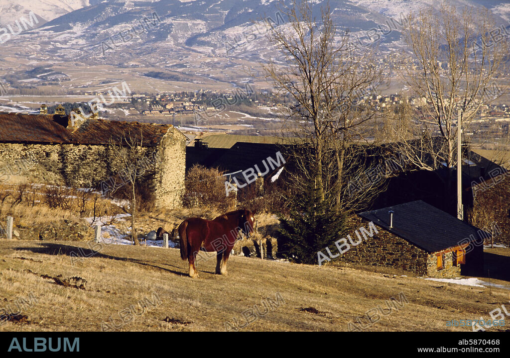 pueblo de Guils Fontanera, Puigcerdà, caballos y Sierra del Cadí al fondo (La Cerdanya).