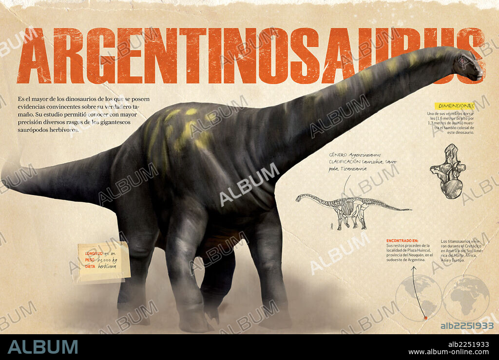 Argentinosaurus. Infografía sobre el Argentinosaurio, dinosaurio herbívoro que alcanzaba unas proporciones aún no superadas entre los restos de dinosaurios que se han encontrado.