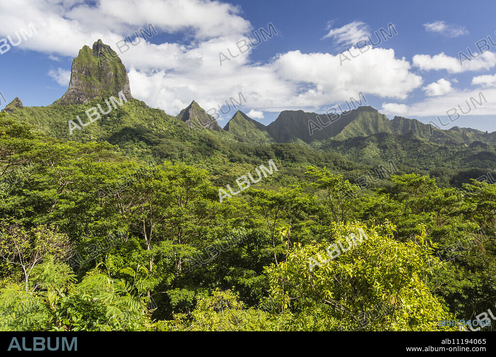View of the rugged mountains surrounding Opunohu Valley from the Belvedere Overlook, Moorea, French Polynesia, South Pacific, Pacific.