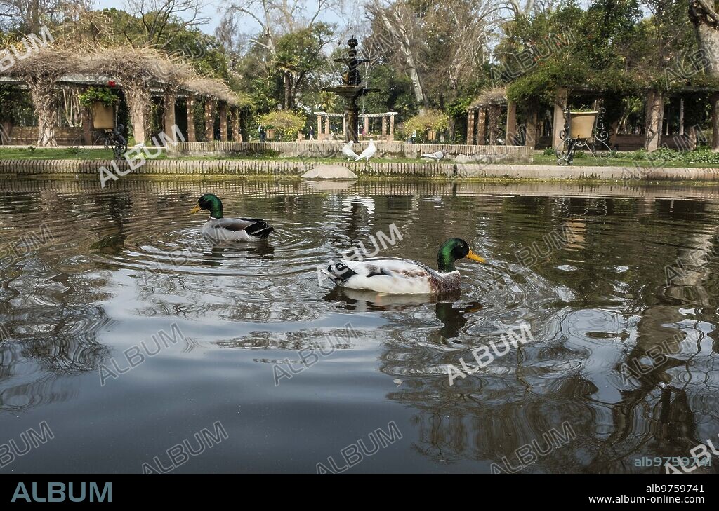 Sevilla, 03/03/2019. El parque de María Luisa. En la Imagen, el estanque de los Lotos. Foto: Raúl doblado Archsev.