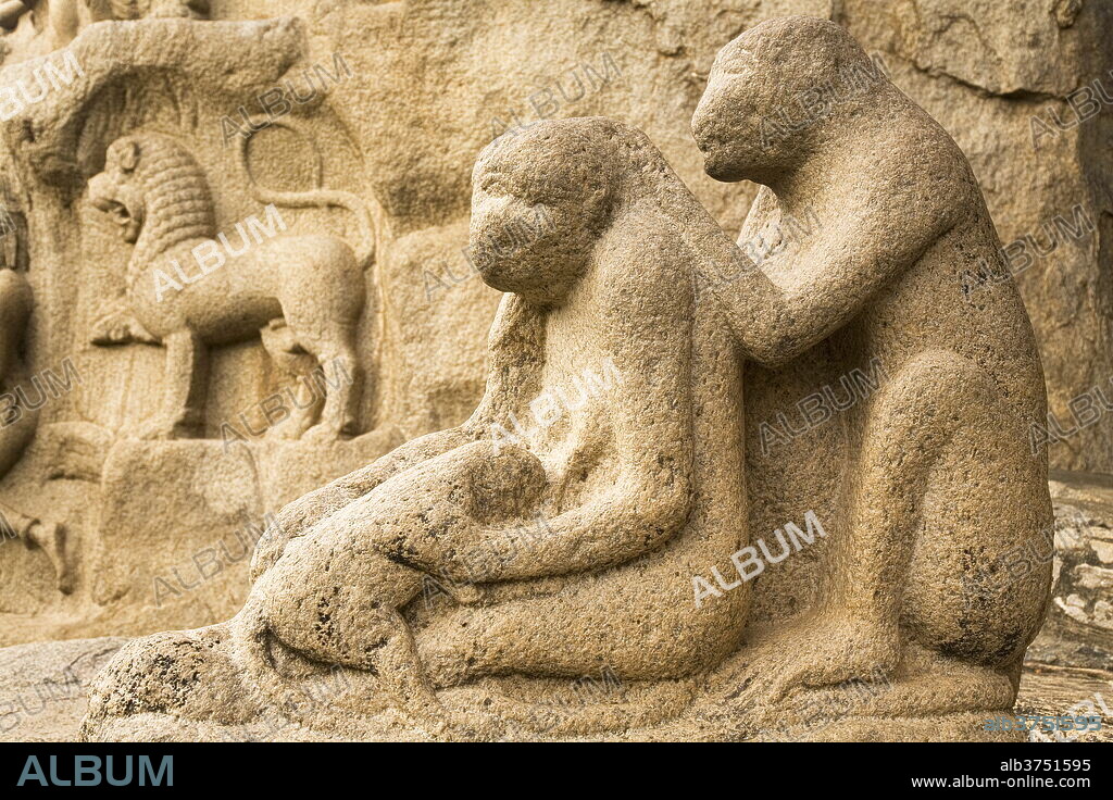 A stone sculpture depicts a group of monkeys grooming close to Arjuna's Penance within the ancient site of Mahabalipuram (Mamallapuram), UNESCO World Heritage Site, Tamil Nadu, India, Asia.