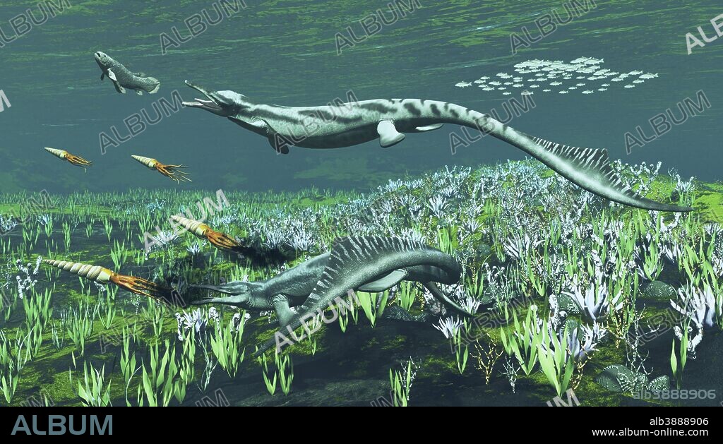 Cymbospondylus, a very large and early Triassic ichthyosaur.