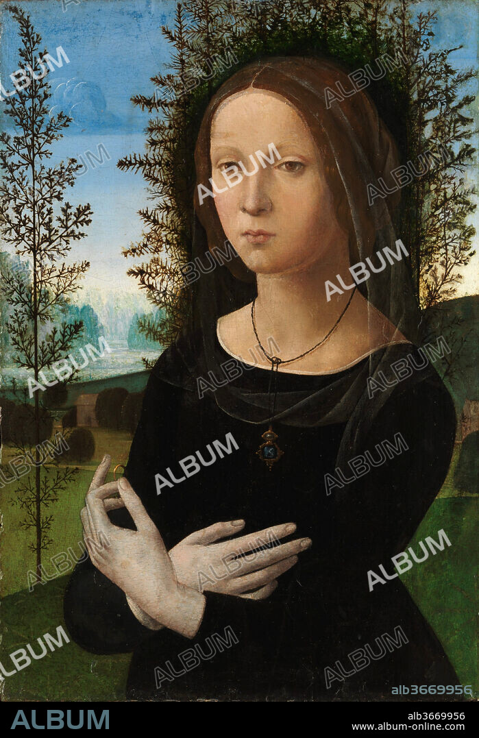 Portrait of a Young Woman. Artist: Lorenzo di Credi (Lorenzo d'Andrea d'Oderigo) (Italian, Florence 1456/59-1536 Florence). Dimensions: 23 1/8 x 15 3/4 in. (58.7 x 40 cm). Date: ca. 1490-1500.
This damaged but evocative portrait has been identified as the widow of Credi's brother, who was a goldsmith. This would explain why she is dressed in black and holds a ring. The juniper bush (<i>ginepro</i>) behind her could refer to her name, Ginevra di Giovanni di Niccolò. The picture was inspired by Leonardo's portrait of Ginevra de' Benci in the National Gallery of Art, Washington.