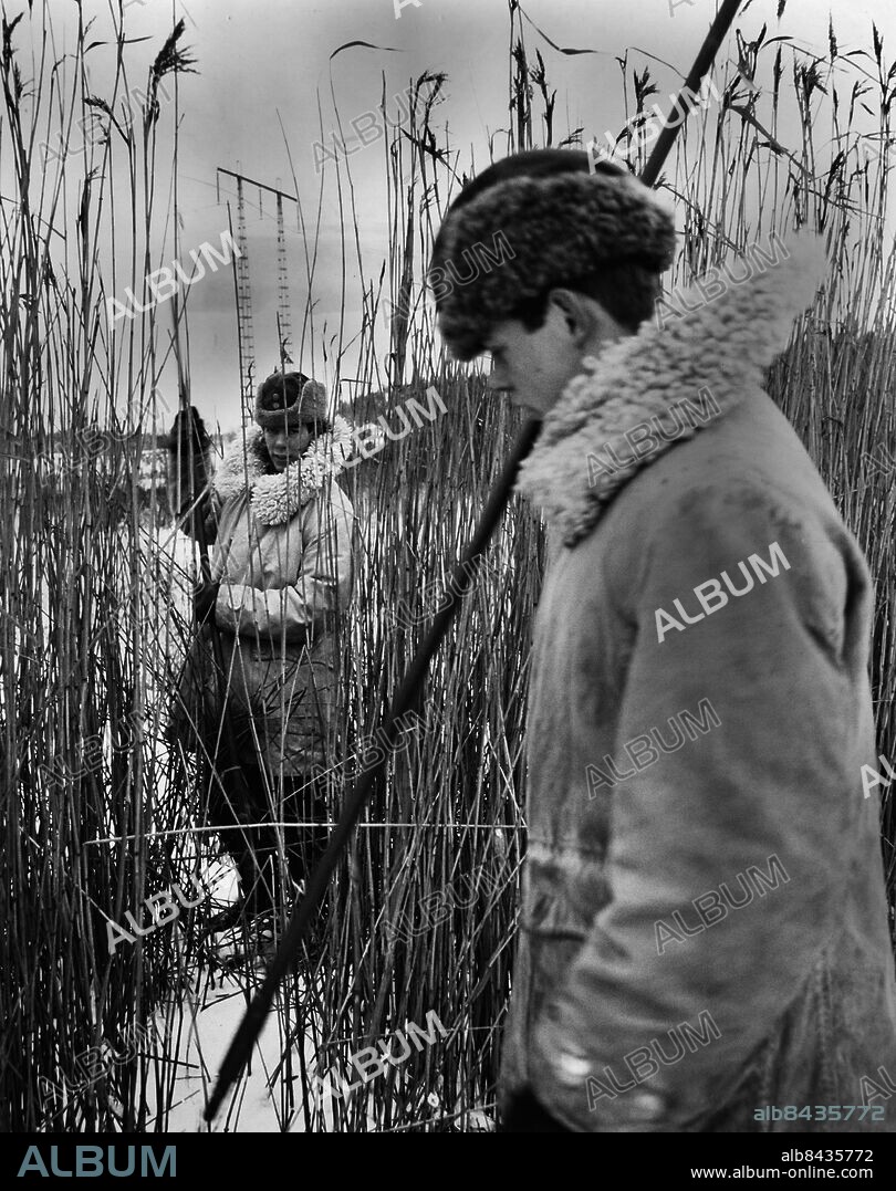 ARKIV 1962-01-26. Fyrtio Soldater utrustade med minsökarpikar finkammar vassområdena och stränderna runt Råstasjön i Solna vid spaningar efter försvunna 25-åriga Ulla Persson 26:e januari 1962. Ulla Persson försvann efter ett besök på dansrestaurangen Lorry 15:e december 1961 och hittades strypt till döds under en gran i Billbykogen utanför Sigtuna 8:e mars 1962.. Foto: Lars Nyberg / EXP / TT / Kod: 34.