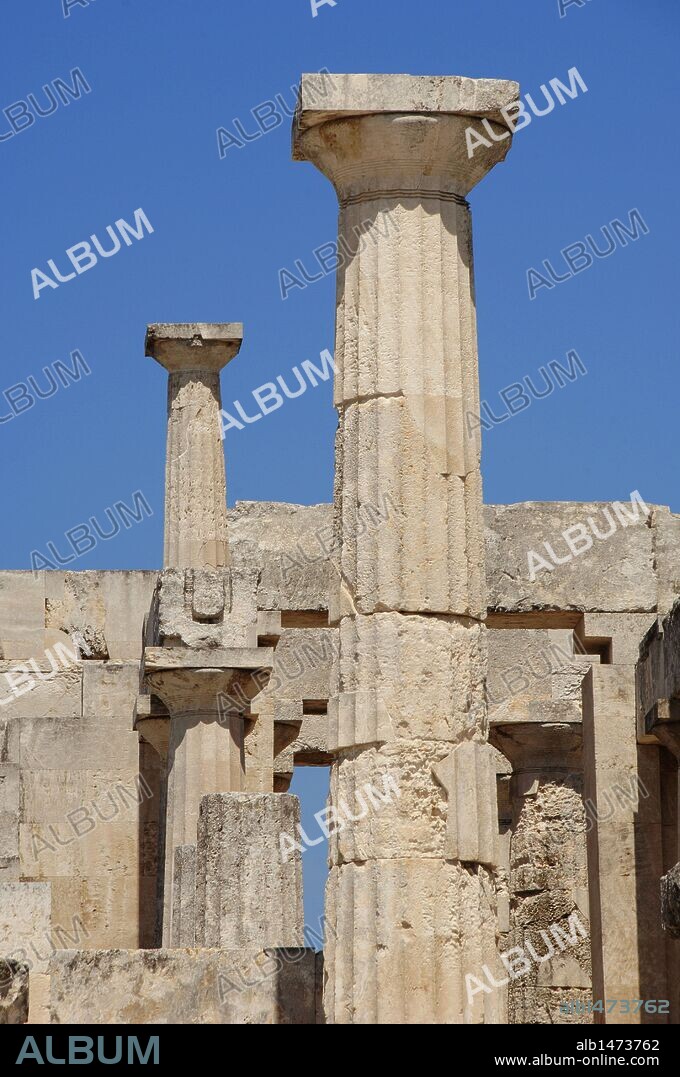 ARTE GRIEGO. GRECIA. TEMPLO DE AFAYA. Edificio dórico, períptero, hexástilo (seis columnas en los frentes y doce en los lados). Fue construido sobre un edificio anterior a comienzos del s. V a. C. con piedra local, caliza de color amarillo recubierta con estuco. Primer plano de una COLUMNA DORICA. ISLA DE EGINA. Islas Sarónicas. Región de Atikí.