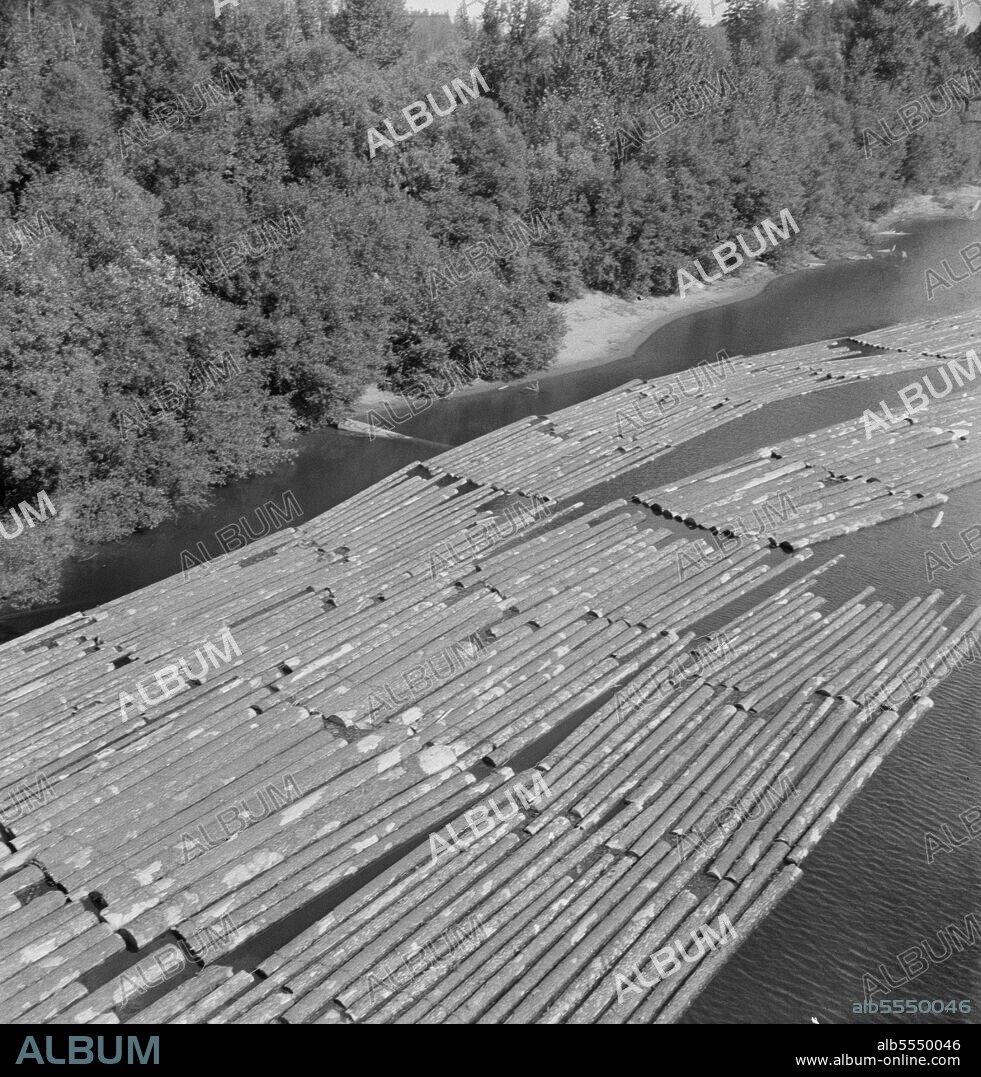 DOROTHEA LANGE. Log rafts on the Williamette River between Salem and Independence, Oregon.