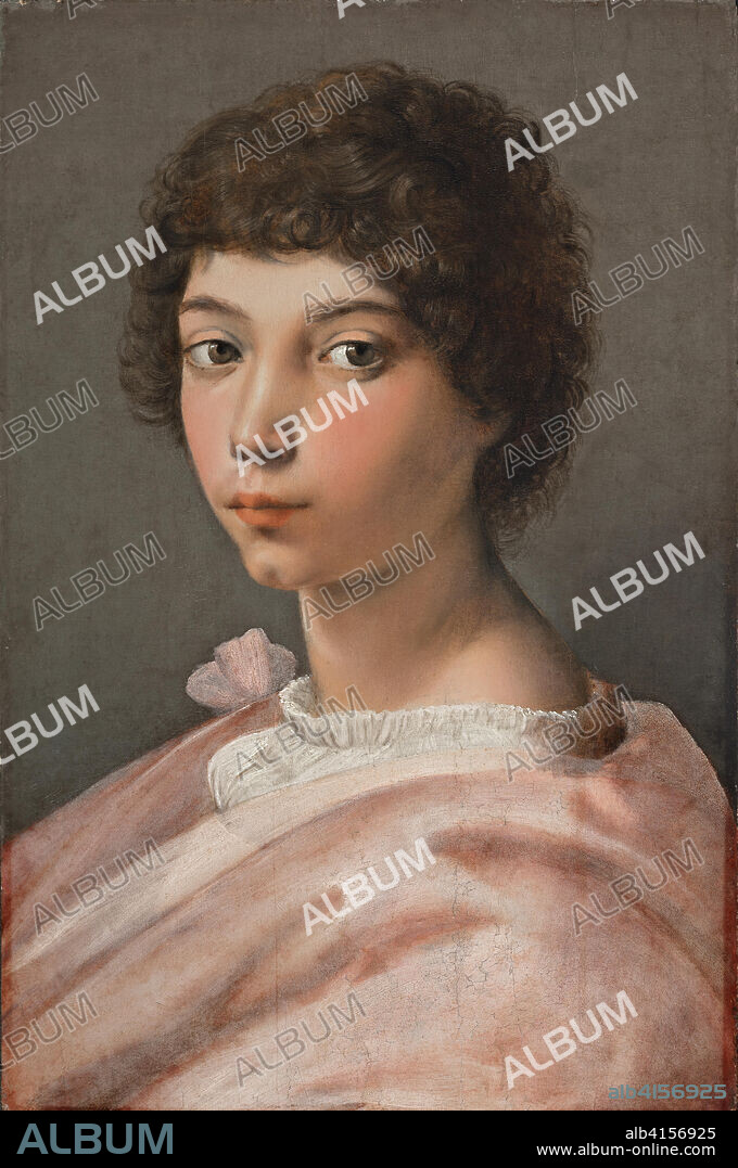 RAPHAEL (y asociados). Rafael ( y colaborador) (Urbino, 1483-Roma, 1520). Retrato de un joven (hacia 1518 - 1519). Óleo sobre tabla. 43,8 x 29 cm.
